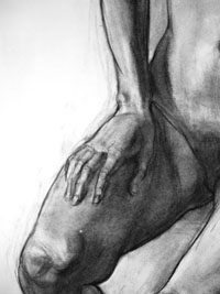 Fragment,  charcoal on paper, 2012